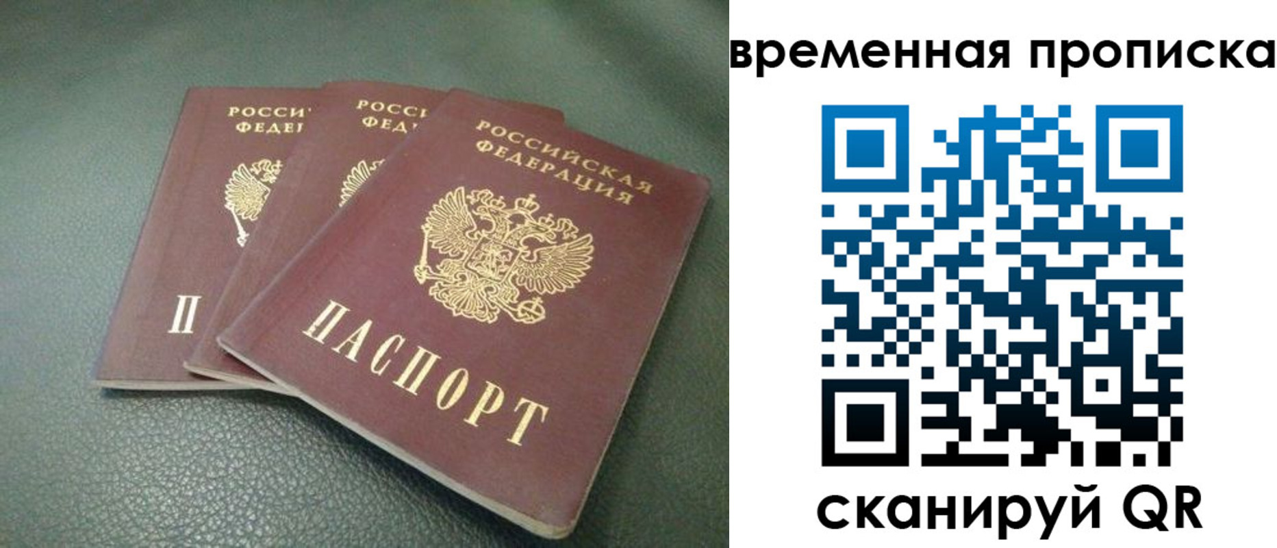 прописка гарантия в Вольске